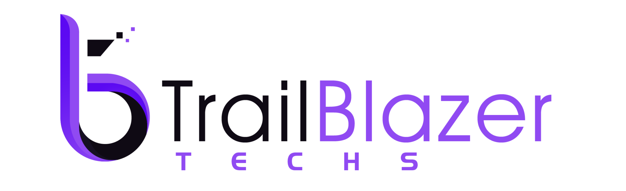 Information Technology Company